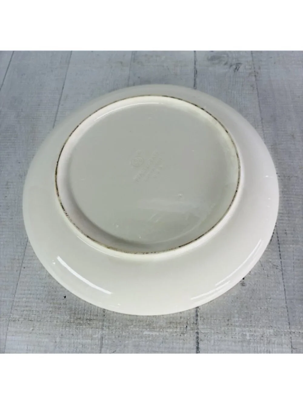 Pfaltzgraff JUNIPER Green Mauve Bands Stoneware 10